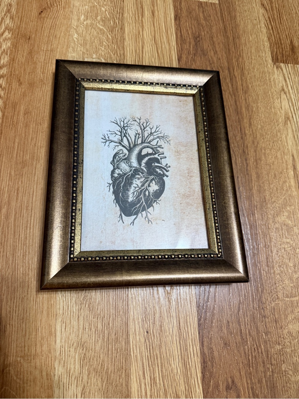 Bronze Heart Anatomy frame Art - Unbranded